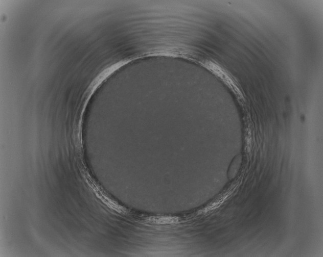 X0000085040884200703261309