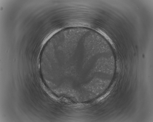 X0000085040885200703261309