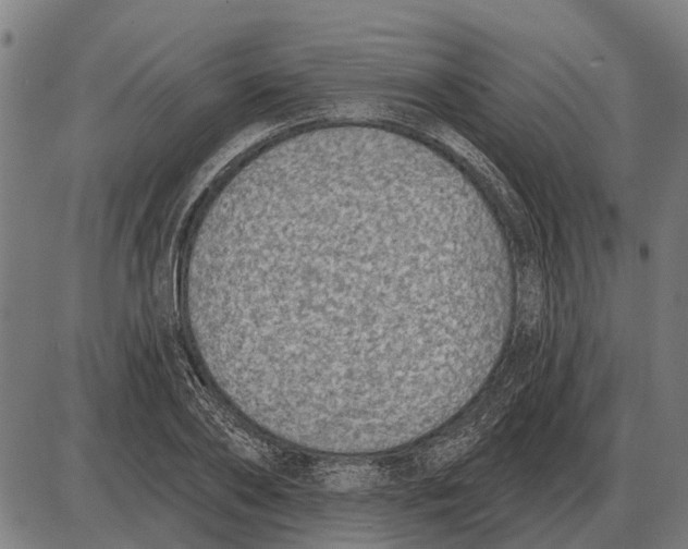 X0000085040886200703261309