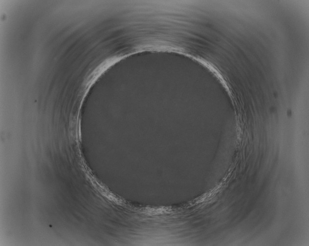 X0000085040887200703261309