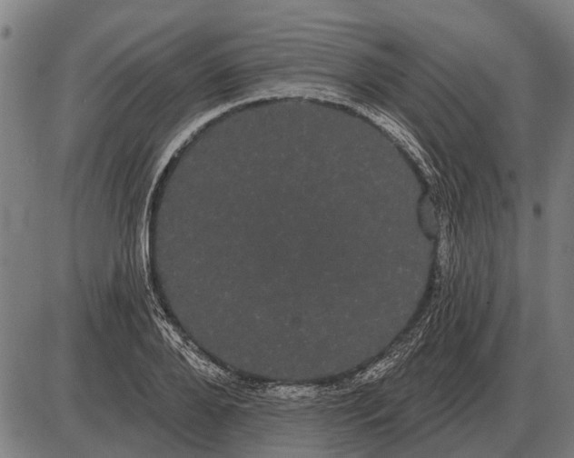 X0000085040888200703261309