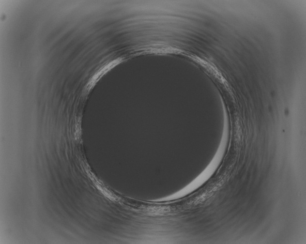 X0000085040889200703261309