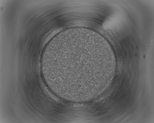 X0000085040890200703261309