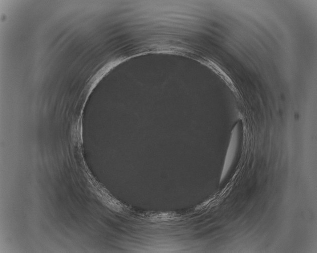 X0000085040891200703261309