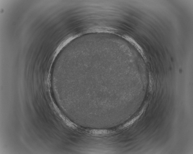 X0000085040893200703261309