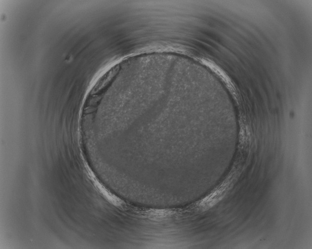 X0000085040894200703261309