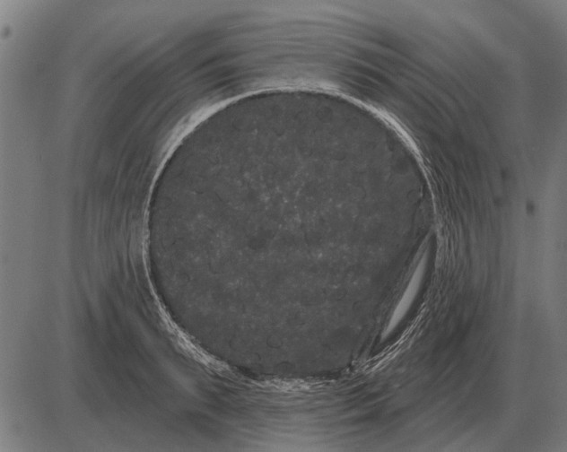 X0000085040895200703261309