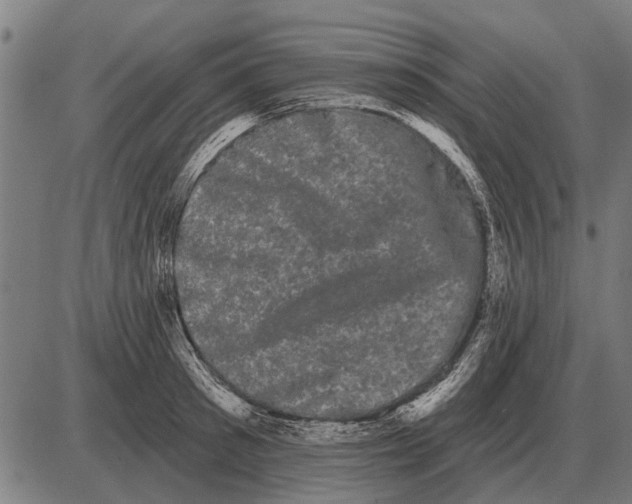 X0000085040897200703261309