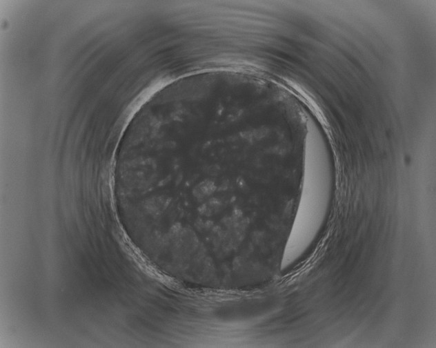 X0000085040899200703261309