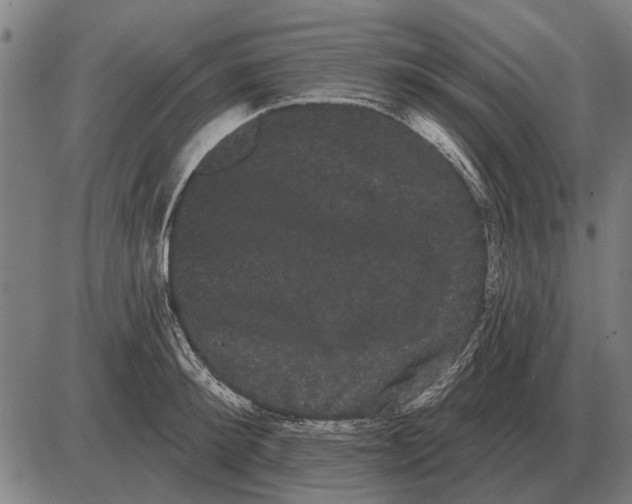 X0000085040900200703261309