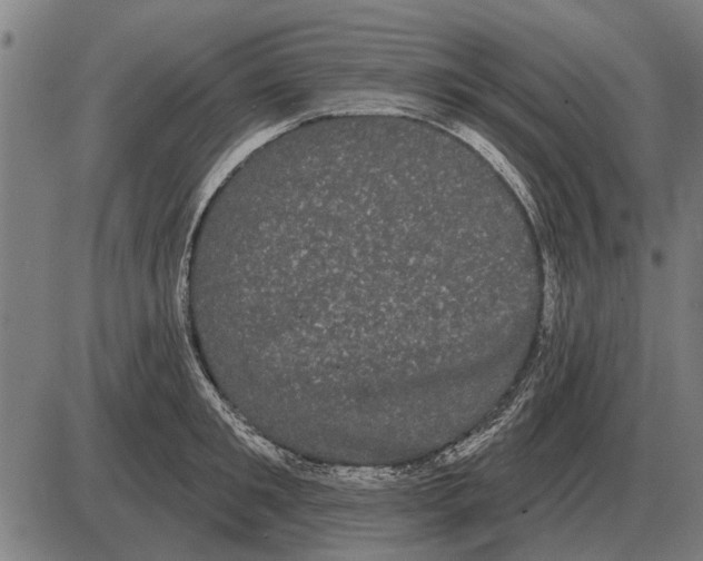 X0000085040901200703261309