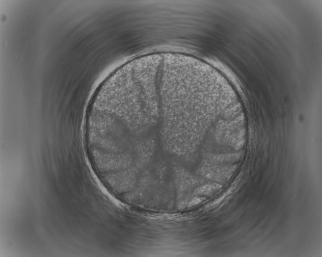 X0000085040902200703261309