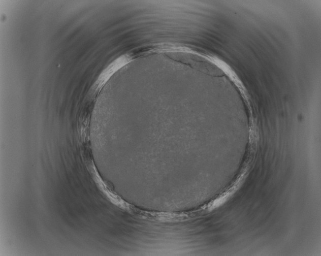 X0000085040905200703261309