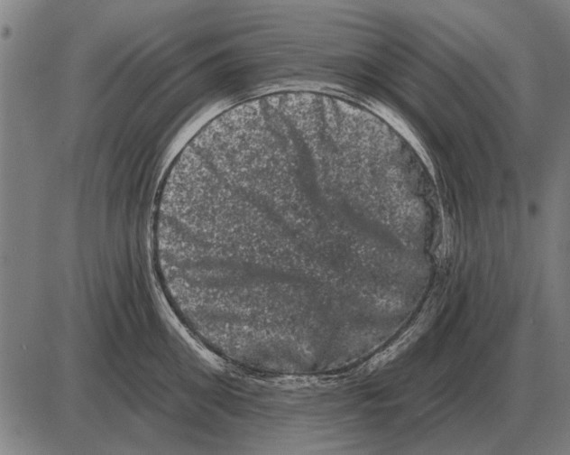 X0000085040906200703261309