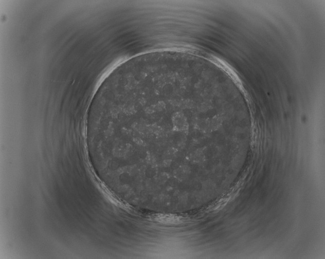 X0000085040907200703261309