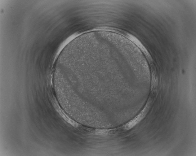 X0000085040908200703261309