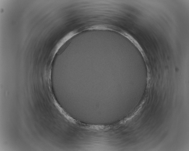 X0000085040909200703261309