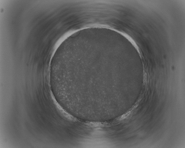 X0000085040911200703261309