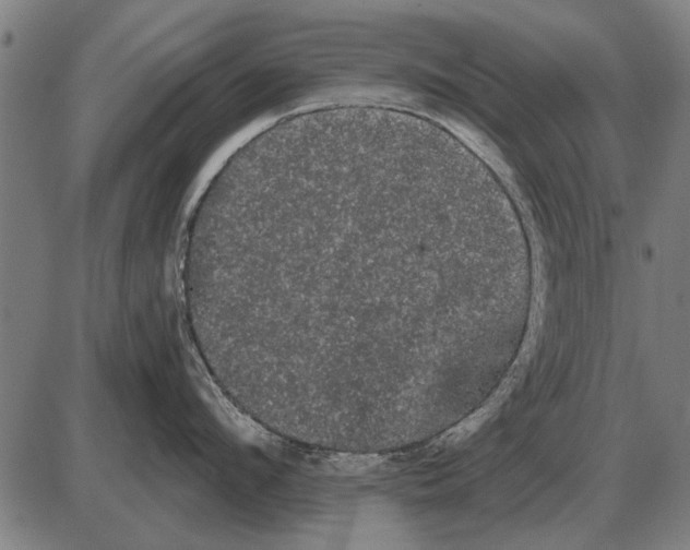 X0000085040912200703261309