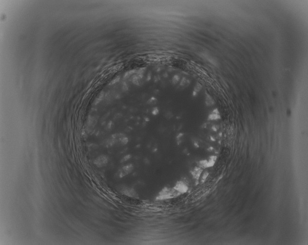 X0000085040913200703261308