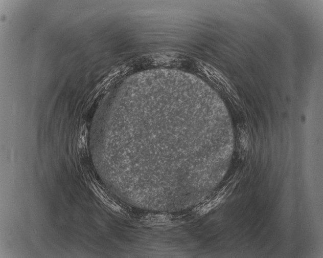 X0000085040914200703261308