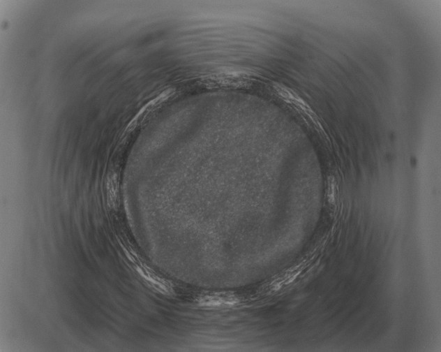 X0000085040915200703261308