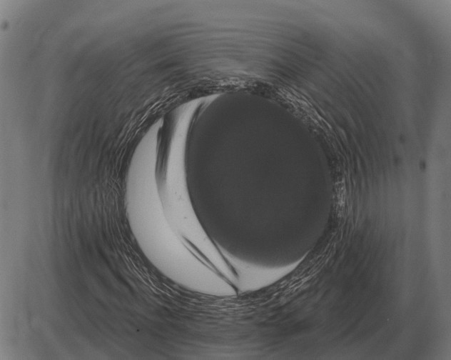 X0000085040916200703261308