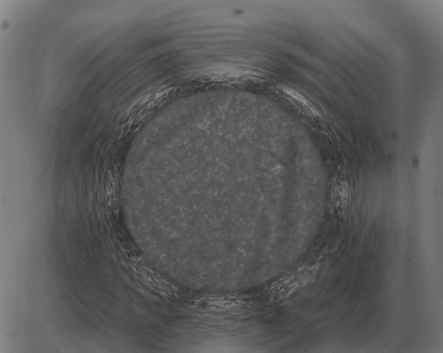 X0000085040917200703261308