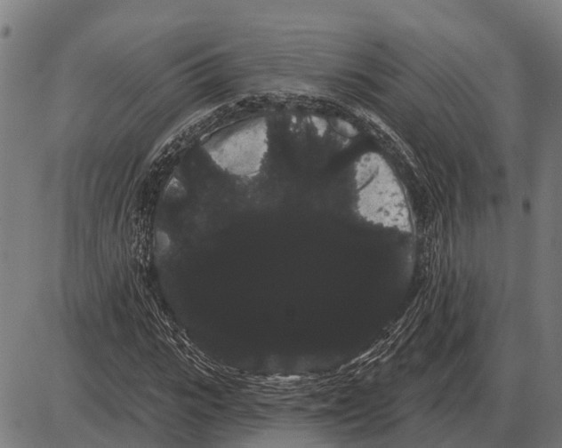 X0000085040919200703261308