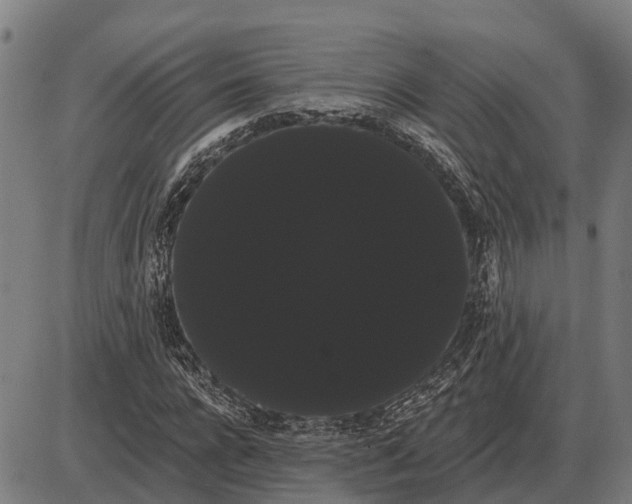 X0000085040920200703261308