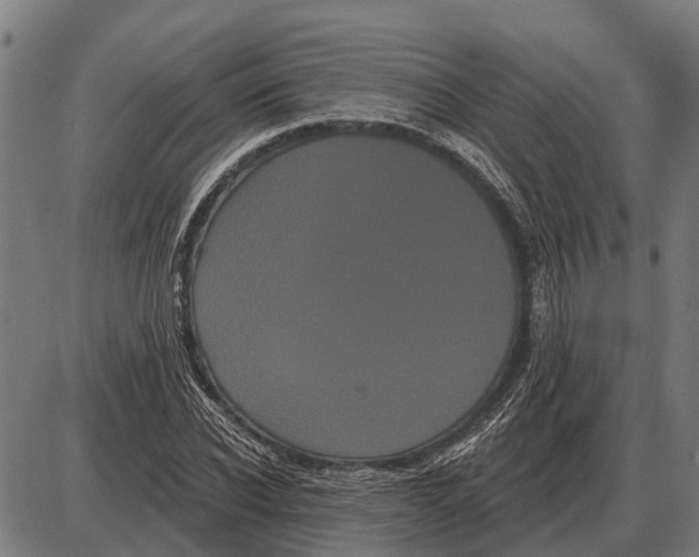 X0000085040926200703261308