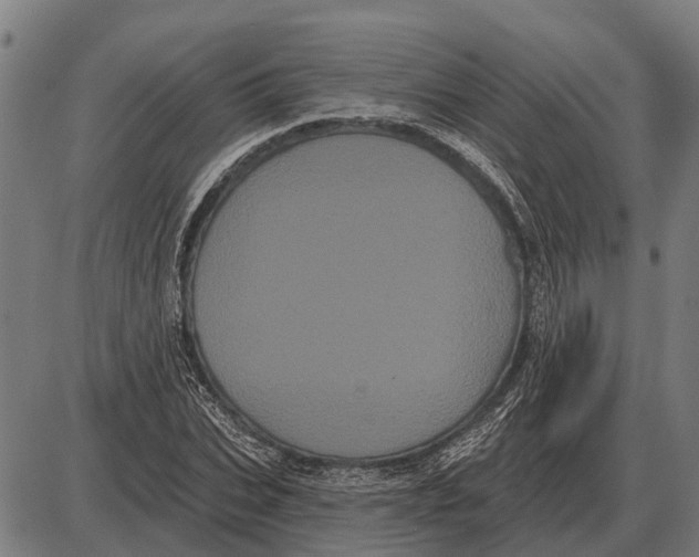 X0000085040927200703261308