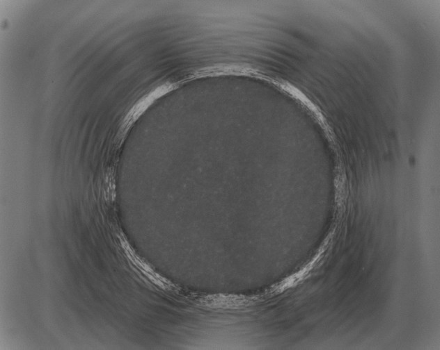 X0000085040929200703261308