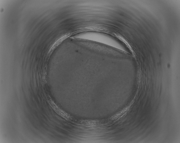 X0000085040930200703261308