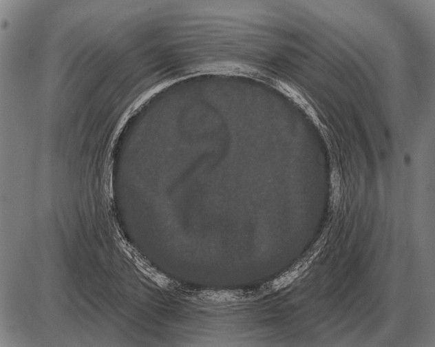 X0000085040931200703261308