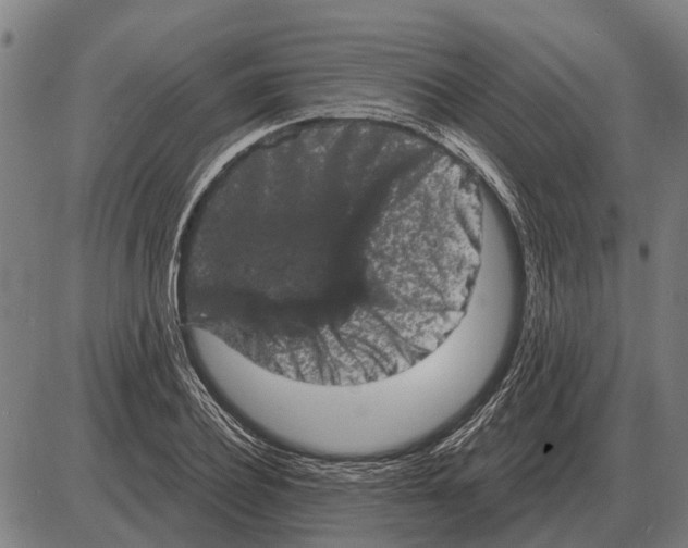 X0000085040932200703261308