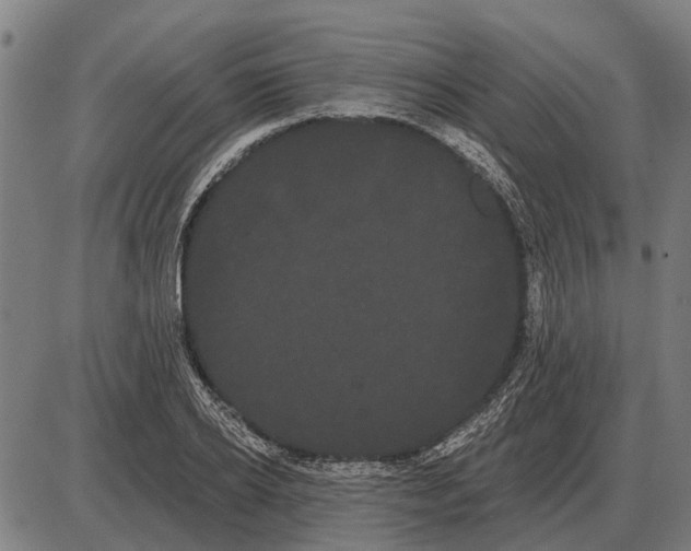 X0000085040934200703261308