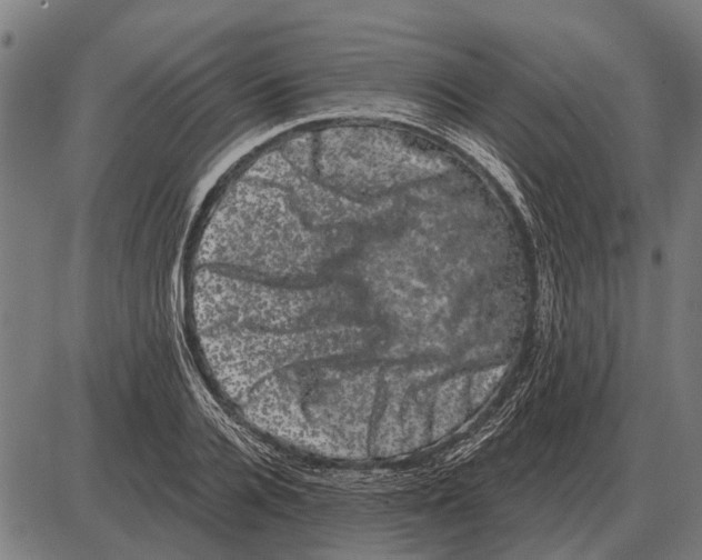 X0000085040936200703261308