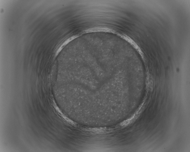 X0000085040937200703261308