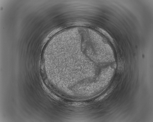 X0000085040938200703261308