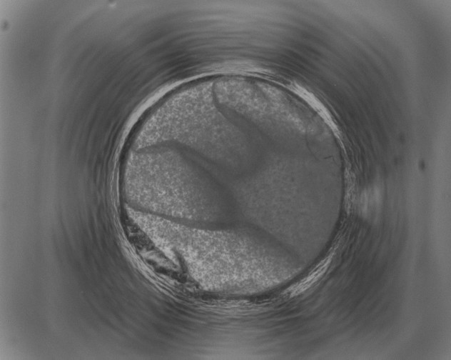 X0000085040939200703261308