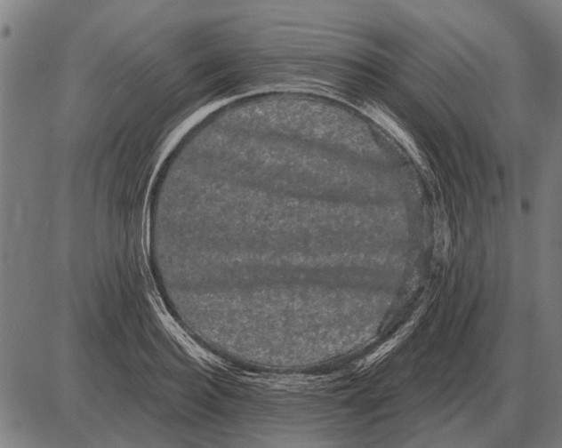 X0000085040940200703261308