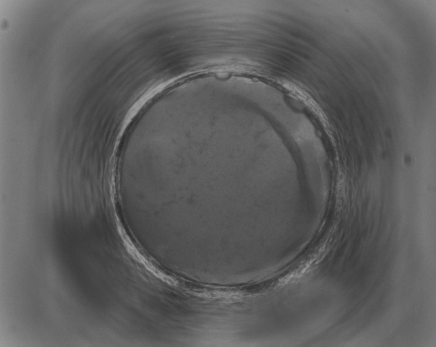 X0000085040941200703261308