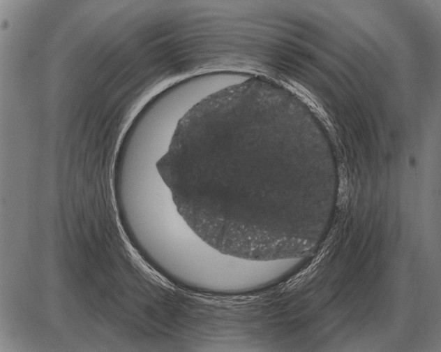 X0000085040942200703261308