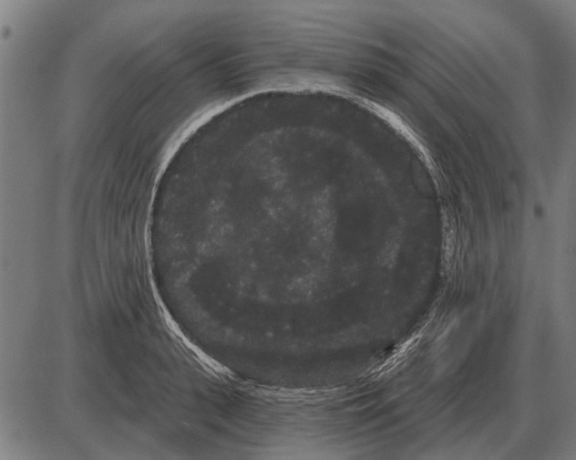 X0000085040943200703261308