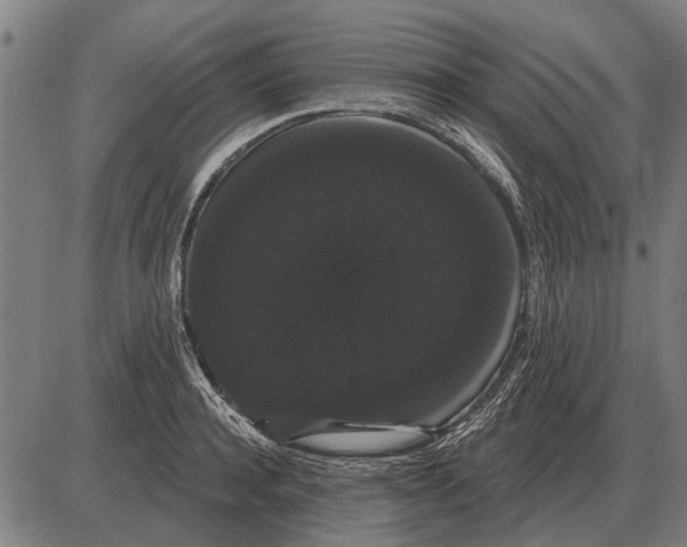 X0000085040944200703261308