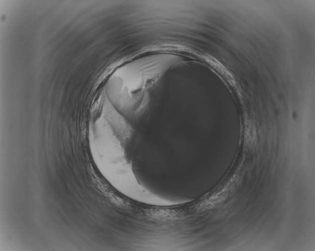 X0000085040945200703261308