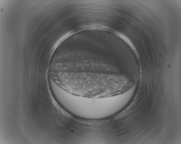 X0000085040946200703261308