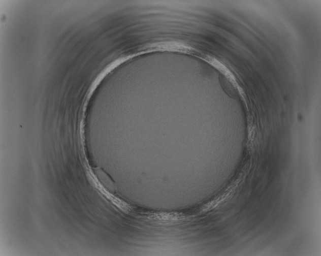 X0000085040947200703261308