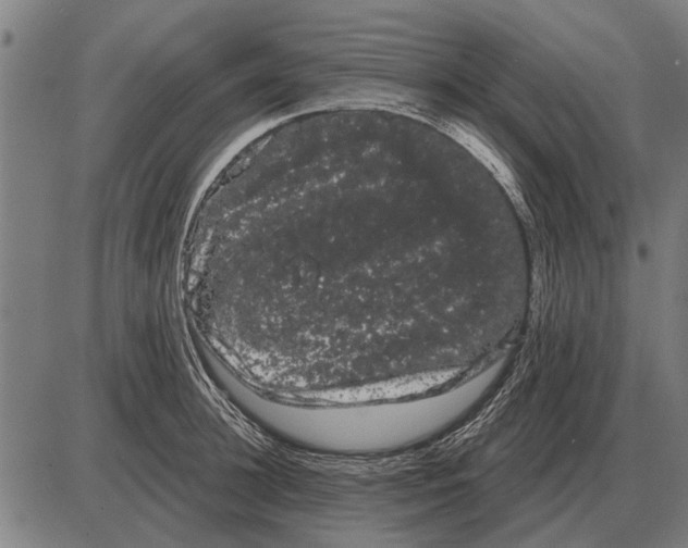 X0000085040948200703261308